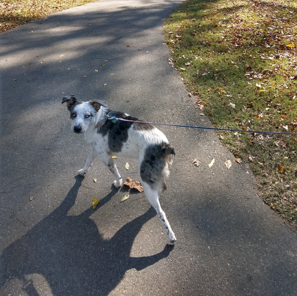 Meet your Posher, Jessica